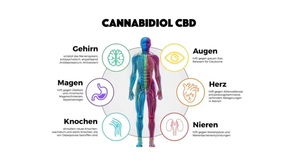 Sind CBD Fruchtgummis besser als CBD Öl?