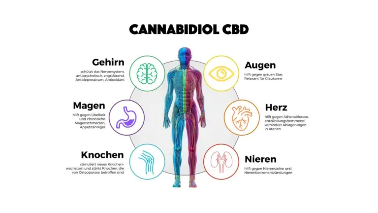 Sind CBD Fruchtgummis besser als CBD Öl?
