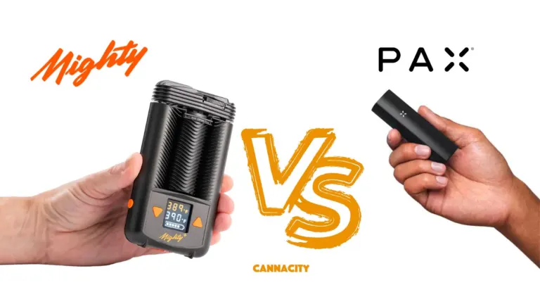 Die Besten Portable Dry Herb Vaporizers