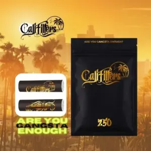 Cali Filters aktivkohlefilter schweiz cannacity kaufen