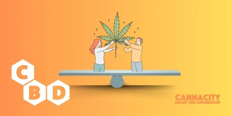 Von CBD bis Smartshop: Cannacity.ch – Dein Guide für ein Ausgewogenes, Innovatives und Bewusstes Leben in der Schweiz