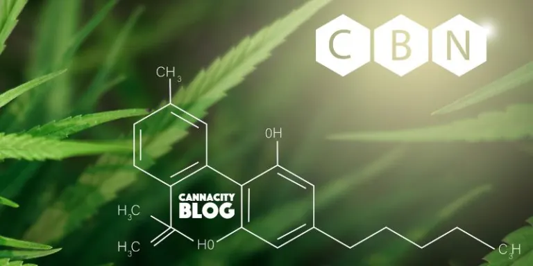 CBN: Entdecke die Welt des Cannabinols – Geheimnisse, Wirkungen und Zukunftsperspektiven