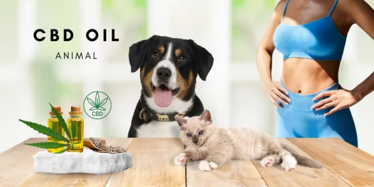 CBD Öl für Tiere: Eine natürliche Unterstützung für deine Haustiere