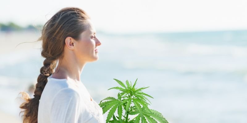 cbd natürliche alternative gegen stress schweiz 