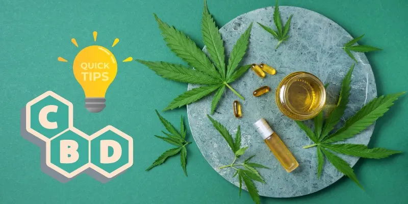 CBD-Ratgeber: Ein ausführlicher Überblick über Nutzen und Einsatzmöglichkeiten